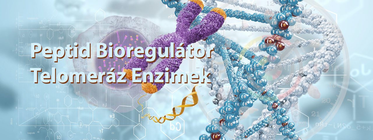 öregedésgátló telomeráz enzim